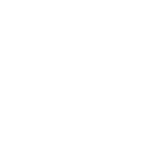 Software Logo